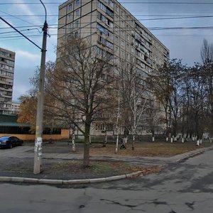 Vasylia Poryka Street, 16, Kyiv: photo