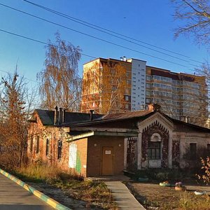 Bazhenova Street, 44А, Ryazan: photo