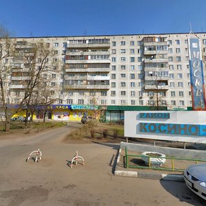 Bolshaya Kosinskaya Street, 16к1, : foto
