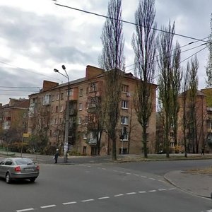 Mikhaila Boichuka Street, 10, Kyiv: photo