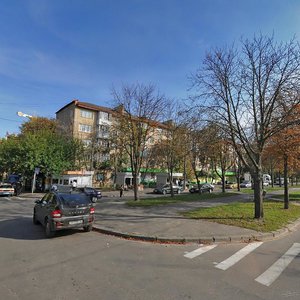 Palva Virskoho Boulevard, No:6, Kiev: Fotoğraflar