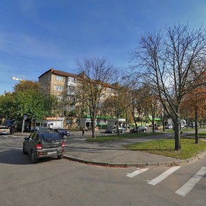 Palva Virskoho Boulevard, 6, Kyiv: photo