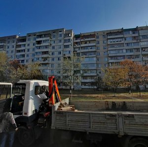 Obolonskyi Avenue, 28, Kyiv: photo