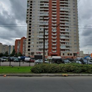 Санкт‑Петербург, Проспект Косыгина, 17к1: фото