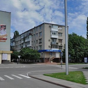 Peremohy street, 24/2, Kremenchuk: photo