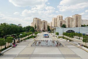 Zelenograd, к128, Zelenograd: photo