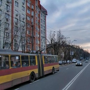 Danyla Scherbakivskoho Street, 42, Kyiv: photo