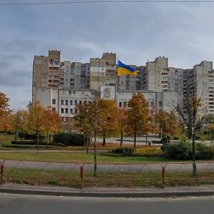 Oleksandra Koshytsia Street, 11, Kyiv: photo