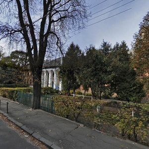 Киев, Улица Максима Берлинского, 9: фото