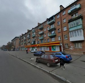 Kostiantyna Zaslonova Street, 13А, Kyiv: photo