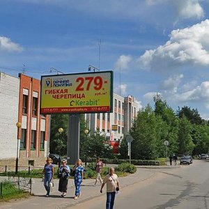 Oktyabrskiy prospekt, 91, Vsevolgsk: photo