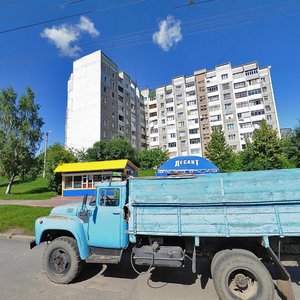 Хмельницкий, Улица Панаса Мирного, 28: фото