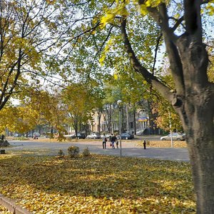 Bulvar Shevchenka, 18, Zaporizhia: photo