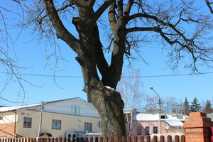 Ulitsa Karla Marksa, 36/19, Egorievsk: photo