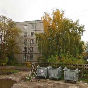 Бор, Улица Чайковского, 18: фото