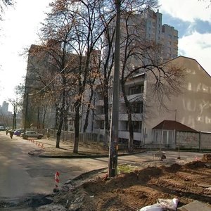 Pechenizka Street, 32, Kyiv: photo