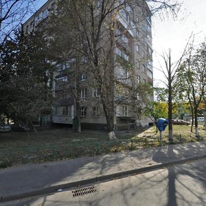 Bakynska Street, 28, Kyiv: photo