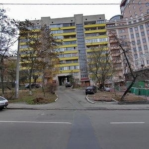 Lva Tolstoho Street, 33, Kyiv: photo
