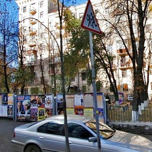 Zankovetskoi Street, 8, Kyiv: photo