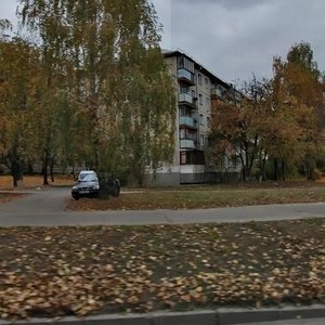 Liubomyra Huzara Avenue, 10, Kyiv: photo