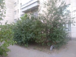 Ulyanovskiy Avenue, No:12, Ulyanovsk: Fotoğraflar