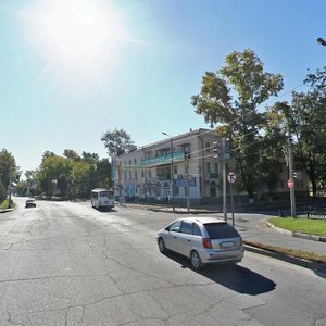 Kalinina Street, 9, Birobidgan: photo