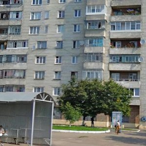 Vulytsia Shevchenka, 358, Lviv: photo