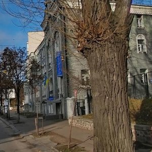 Yuriia Illienka Street, 16, Kyiv: photo