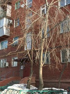 Mira Avenue, 169, : foto