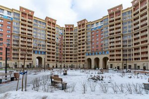 Plesetskaya Street, 6, Saint Petersburg: photo