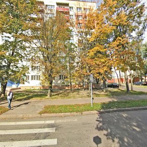 Rozy Liuksiemburg Street, 178, : foto