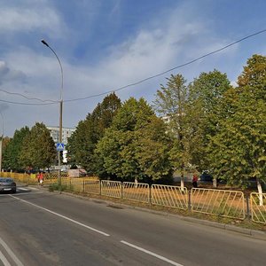 Voroshilova Street, No:33, Tolyatti (Togliatti): Fotoğraflar