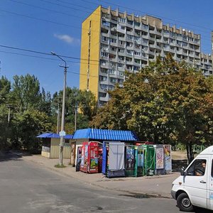 Dobrovoltsiv Lane, 4, Dnipro: photo