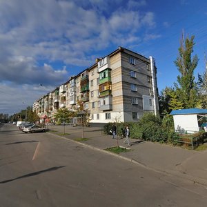 Pratsi Boulevard, 6/14, Kyiv: photo