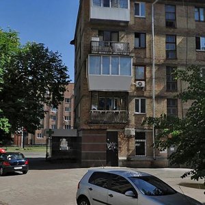Moskovska Street, 45/1к33, Kyiv: photo