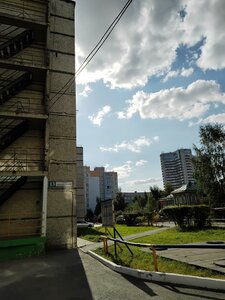 Ulitsa Prosveshcheniya, 13, : foto
