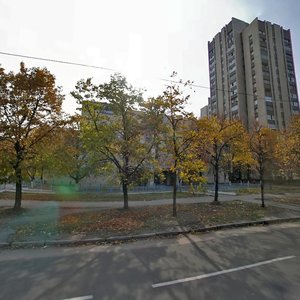 Pavla Tychyny Avenue, 6А, Kyiv: photo