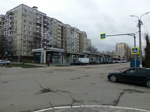 Sportivnaya Street, 1В, Belgorod: photo