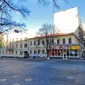 Volodymyrska Street, 29, Kyiv: photo