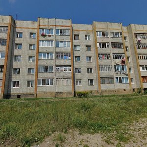 Ulitsa Sholokhova, 37В, Bryansk: photo