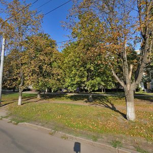 Petra Hryhorenka Аvenue, 51, : foto