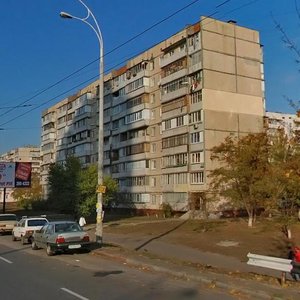 Heroiv Dnipra Street, 71, Kyiv: photo