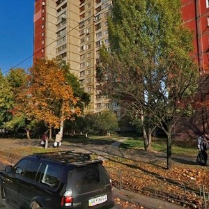 Raiduzhna Street, 1, Kyiv: photo