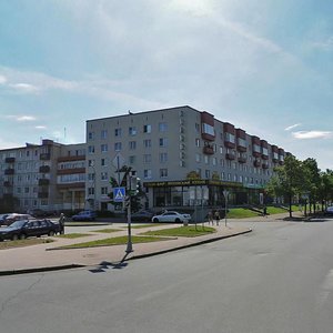 Сестрорецк, Приморское шоссе, 348: фото