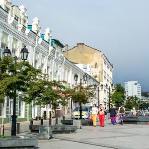 Admirala Fokina Street, 9, Vladivostok: photo