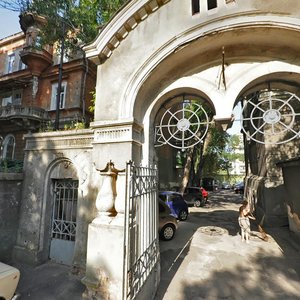 Marazliivska vulytsia, 36, : foto