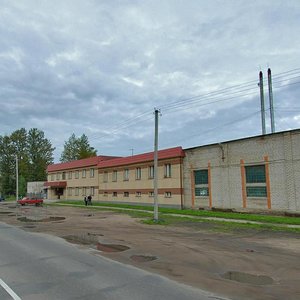 Nikolaya Vasilyeva Street, 94, Pskov: photo