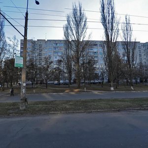 Vulytsia Levanevskoho, 48, : foto
