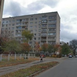 Stratehichne Highway, 21, Kyiv: photo