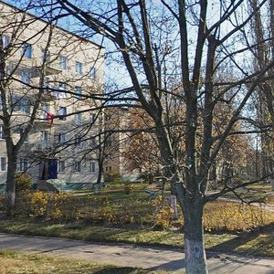 Molodizhna vulytsia, 24 ، : صورة